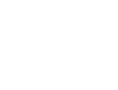 Circle ornament